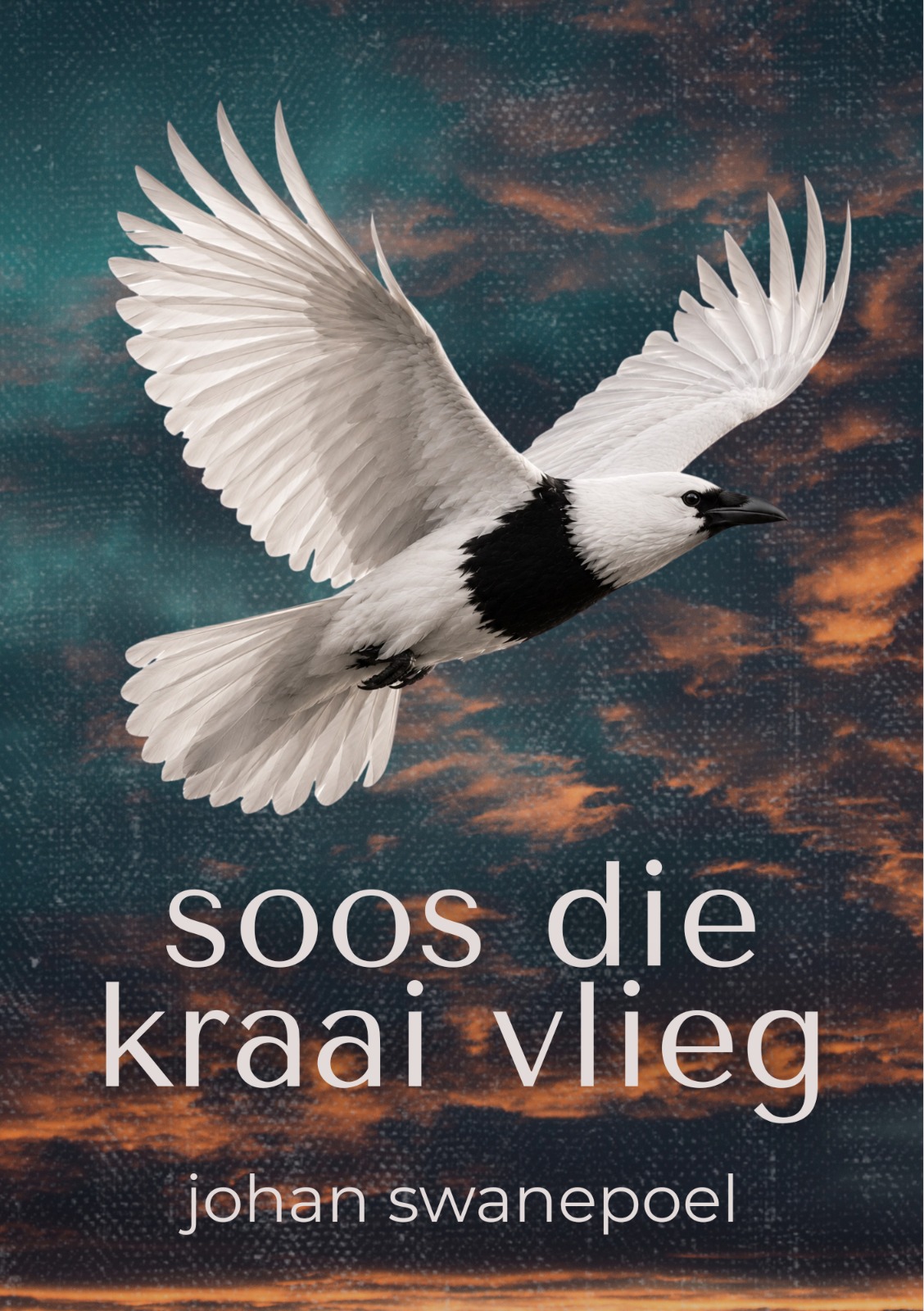 Voorblad van soos die kraai vlieg deur Johan Swanepoel